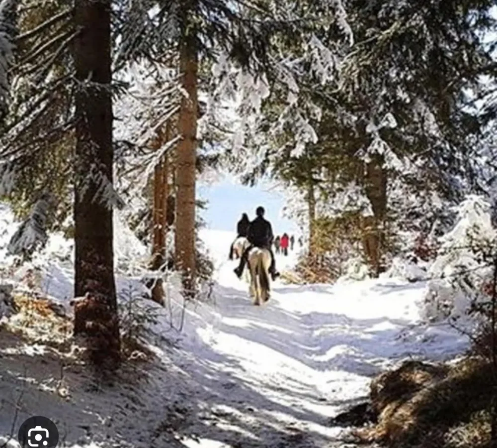 05cf2425-c8b8-4990-9554-04432ee8e537