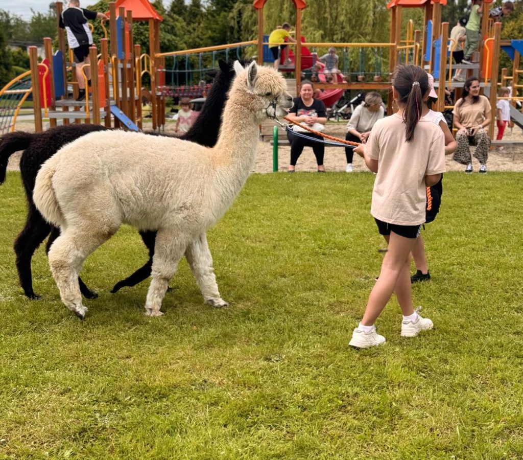 WhatsApp Image 2026-03-30 at 21.13.29